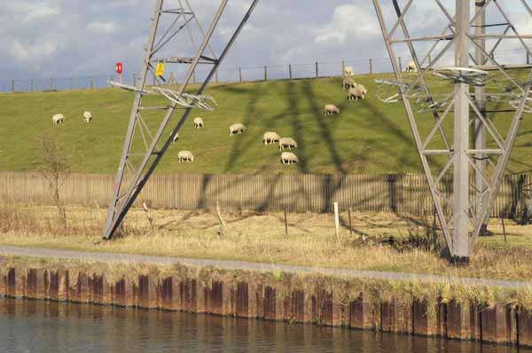Picture &copy; Peter Marshall, 2004
