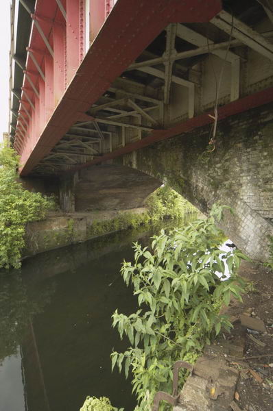 Picture &copy; Peter Marshall, 2004