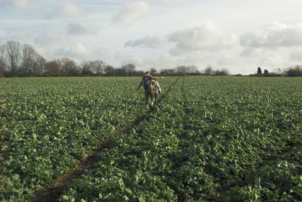 London Loop: Chigwell to Harold Wood &copy; Peter Marshall. 2007