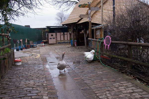 Spitalfields Urban Farm &copy; 2007, Peter Marshall